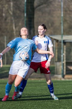 Bild 182 - F Hamburger SV 3 - Blau-Weiss 96 : Ergebnis: 5:1